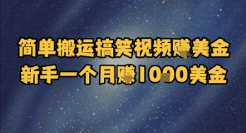 简单搬运搞笑视频挣美金，新手一个月入1k美金-洛柒笔记