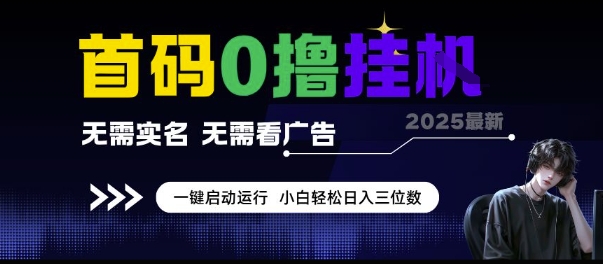 首码0撸挂G项目，无需实名无需看广告 一键启动运行，小白轻松日入三位数【揭秘】-洛柒笔记