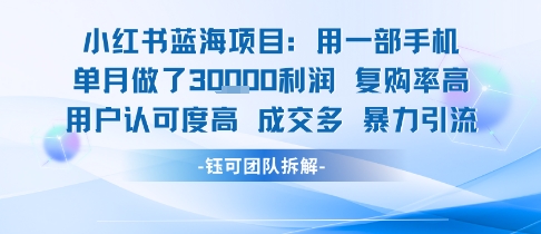 小红书蓝海项目，一部手机单月做了3W利润，小白也能月入过1W用户认可度高成交多-洛柒笔记