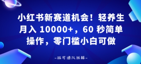 小红书新赛道机会，轻养生月入 1w，60 秒简单操作，带货接广都可以，零门槛小白可做-洛柒笔记