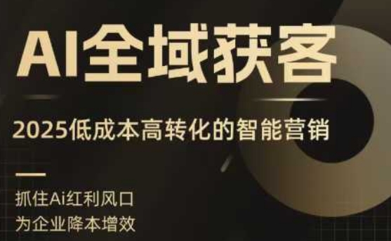 AI全域获客实训营，2025低成本高转化的智能营销，精准找客，高效营销-洛柒笔记