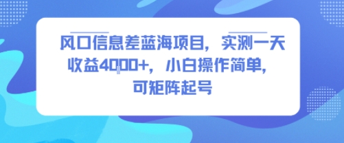 风口信息差蓝海项目，实测一天收益4k+，小白操作简单，可矩阵起号-洛柒笔记