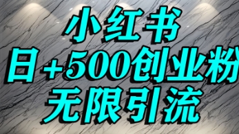 小红书无限引流创业粉，单人操作日引500+精准创业粉-洛柒笔记