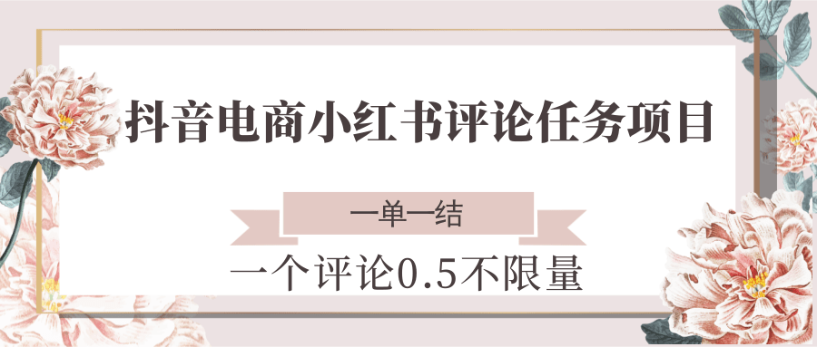 抖音电商小红书评论任务项目，一个评论0.5，一单一结 不限量-洛柒笔记