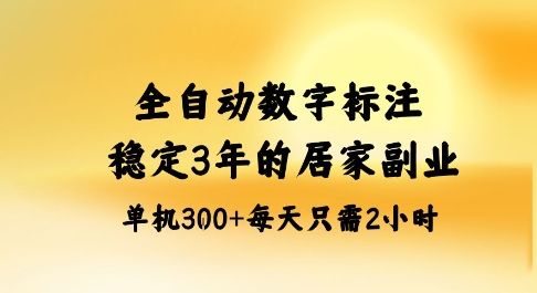 全自动数字标注，稳定3年的蓝海项目，居家也能矩阵开干的副业，单机日入3张+-洛柒笔记