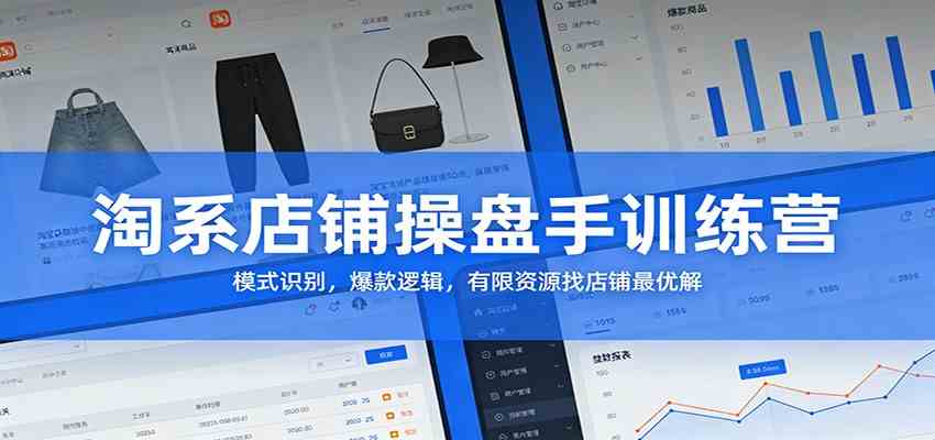 淘系店铺操盘手训练营：模式识别，爆款逻辑，有限资源找店铺最优解-洛柒笔记