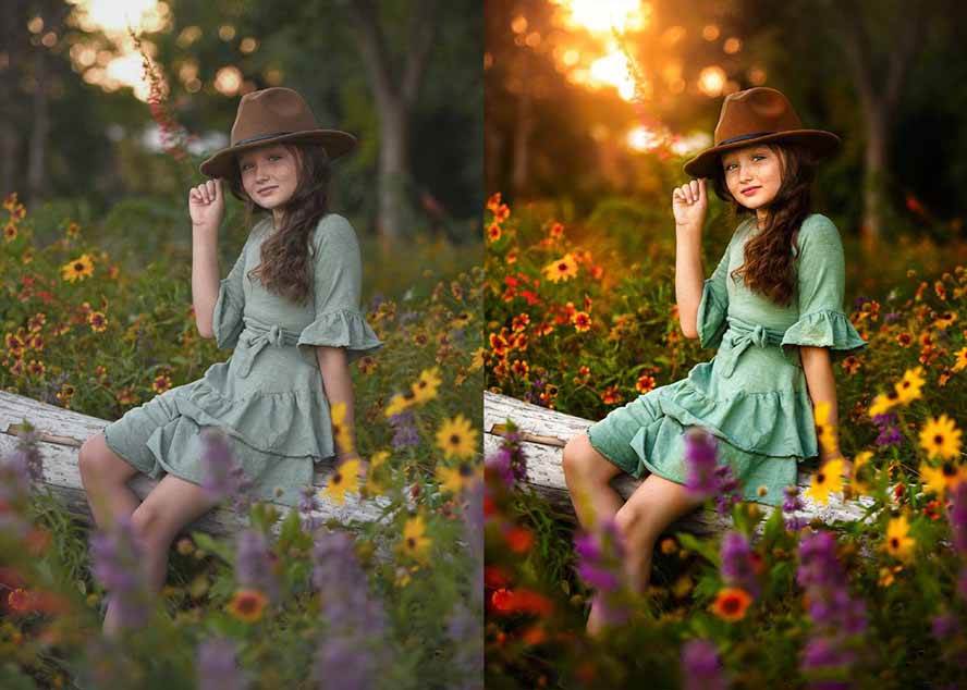 （17403期）大师级GTG出品-老友记系列AI自适应预设The Friends Preset Collection-洛柒笔记