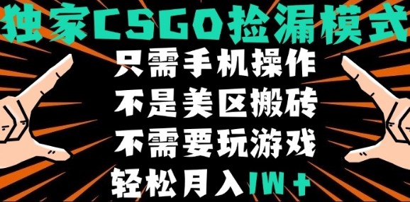 CSGO自动捡漏项目，最新独家玩法，不是美区搬砖，不需要了解和玩游戏，新手小白轻松月入1W+【揭秘】-洛柒笔记