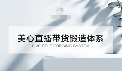 直播带货锻造体系课，5G时代美心一站式帮你开启直播带货之路-洛柒笔记