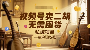 视频号卖二胡，无需囤货，私域项目，一单利润5张-洛柒笔记