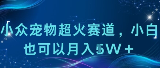 小众宠物超火赛道，小白也可以月入1w+-洛柒笔记