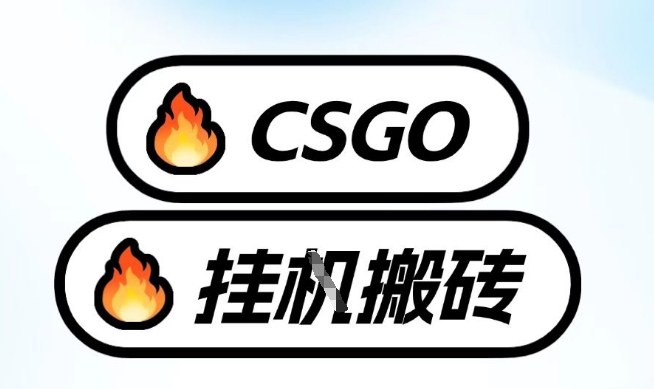 真全网独家CSGO挂G，最新玩法,单日捡漏1K+，不用电脑，不用打游戏【揭秘】-洛柒笔记