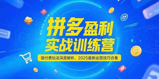 拼多多盈利实战训练营，强付费玩法深度解析，2025最新运营技巧合集-洛柒笔记
