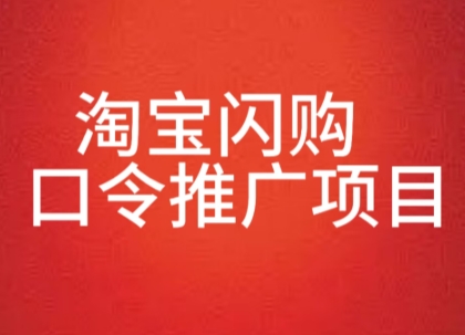 淘宝闪购口令推广项目，收益可观，一部手机，一个抖音号即可操作-洛柒笔记
