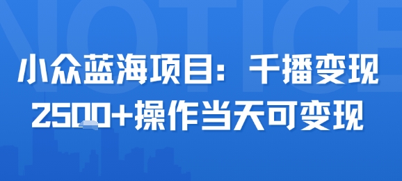 小众蓝海项目，千播变现2.5k+操作当天可变现-洛柒笔记