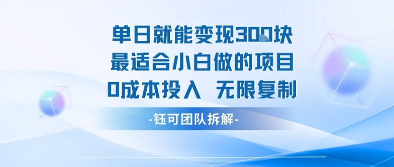 单日就能变现3张最适合小白做的项目0成本投入 无限复制-洛柒笔记