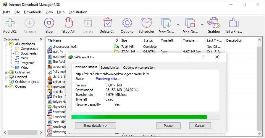 Internet Download Manager v6.42.50中文特别版(IDM)插图