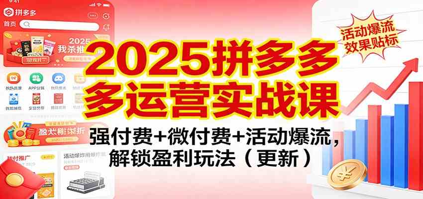 2025拼多多运营实战课：强付费+微付费+活动爆流，解锁盈利玩法（更新）-洛柒笔记