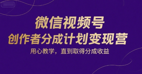 微信视频号创作者分成计划变现营，用心教学，直到取得分成收益-洛柒笔记