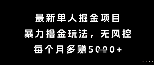 最新单人掘金项目，暴力撸金玩法，无风控，每个月多挣5k+【揭秘】-洛柒笔记
