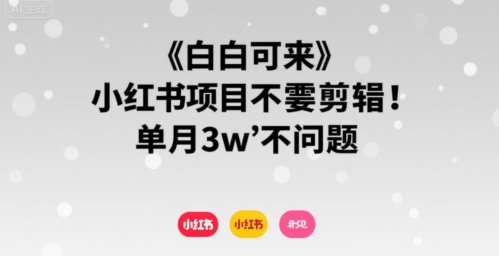 小白可来 小红书项目不需要剪辑 单月3w不是问题-洛柒笔记