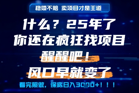 什么？25年你还在疯狂找项目做，醒醒吧，看完这些你全都懂了！【揭秘】-洛柒笔记