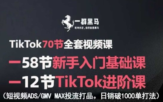TikTok全套视频课，新手入门+进阶课，短视频ADS-GMV MAX投流打品，日销破1000单打法-洛柒笔记