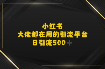 小红书，大佬都在用的大粉平台，日引流500+-洛柒笔记