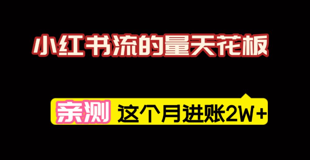 小红书的这个赛道，简直就是流量天花板，我这个月已经赚2W+（附带教程）-洛柒笔记