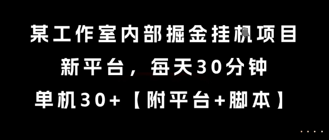 某工作室内部掘金挂G项目，新平台，每天30分钟，单机30+【揭秘】-洛柒笔记