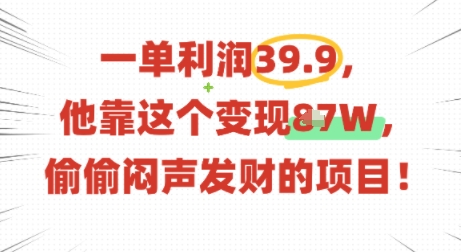 一单利润39.9，有人靠这个变现几十个，偷偷闷声发财的项目-洛柒笔记