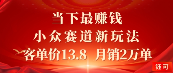 当下最挣钱的小众赛道 小红书新玩法10个作品涨粉3W，客单价13.8 月销2W单-洛柒笔记