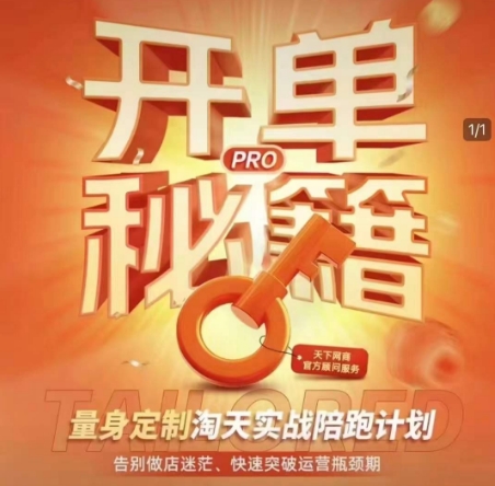 淘宝开单秘籍PRO，量身定制淘天实战陪跑计划，告别做店迷茫、快速突破运营瓶颈期（更新6月）-洛柒笔记