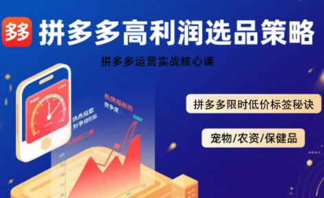 拼多多选品暴利技术实战课，拼多多高利润选品策略，拼多多限时低价标签秘诀-洛柒笔记