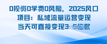 0学费0风险，2025风口项目：私域流量运营变现，当天可直接变现-洛柒笔记