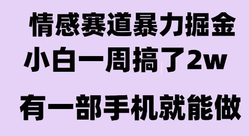 情感暴力掘金项目，新人操作一周挣了2W，长期稳定小白可做【揭秘】-洛柒笔记