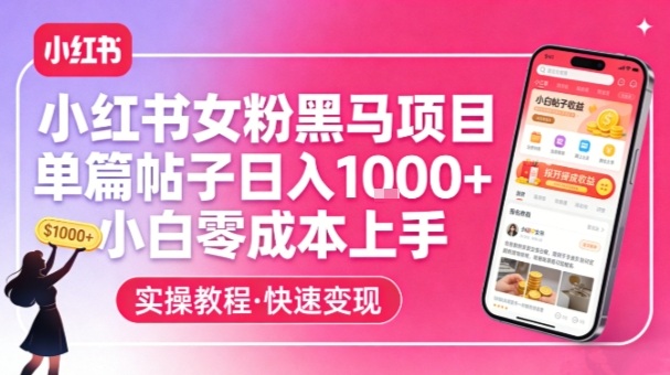 小红书女粉黑马项目，单篇帖子日入1k+，小白零成本上手-洛柒笔记