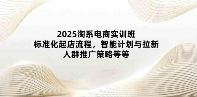 2025淘系电商实训班：标准化起店流程，智能计划与拉新，人群推广策略等等-洛柒笔记