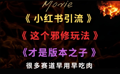 最近小红书引流这个邪修玩法才是版本之子，很多赛道早用早吃肉-洛柒笔记