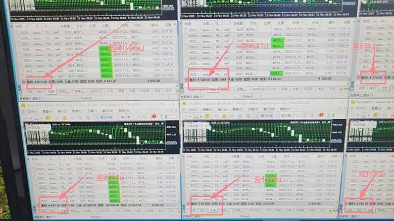 （16653期）2025超前美金自动量化！单人单日收益1000+，线下学习，支持实地考察-洛柒笔记