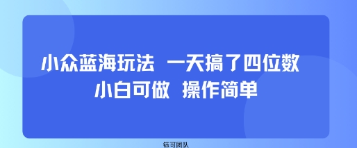 小众蓝海玩法 一天搞了四位数 小白可做 操作简单-洛柒笔记