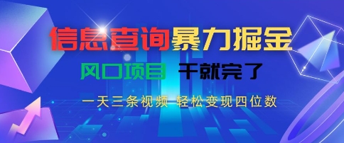 信息查询暴力掘金，一天三条视频，轻松变现四位数，风口项目干就完了【揭秘】-洛柒笔记