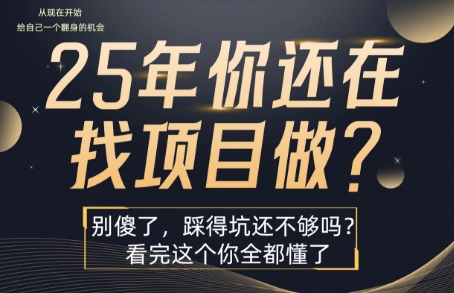 25年，你还在疯狂的找项目吗？别傻了，看完这个你都懂了【揭秘】-洛柒笔记