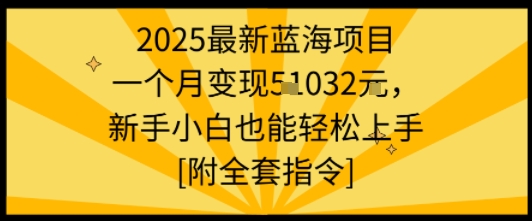 2025最新蓝海项目一个月变现1w+新手小白也能轻松上手【附全套指令】-洛柒笔记
