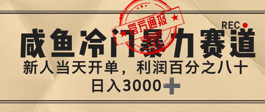 闲鱼，冷门暴力赛道，一单 80%利润，新人轻松日入 3000+-洛柒笔记