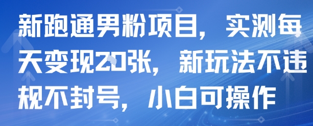 新跑通男粉项目，实测每天变现多张，新玩法不违规不封号，小白可操作-洛柒笔记