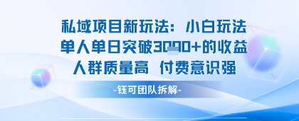 私域项目新玩法小白玩法单人单日突破1k的收益人群质量高付费意识强-洛柒笔记