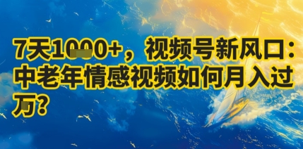 7天收益1k+，视频号新风口：中老年情感视频如何月入过W?-洛柒笔记