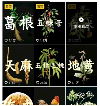 抖音中草药赛道，用AI做中草药故事视频，45条作品涨粉13W，橱窗带货猛猛出单-洛柒笔记