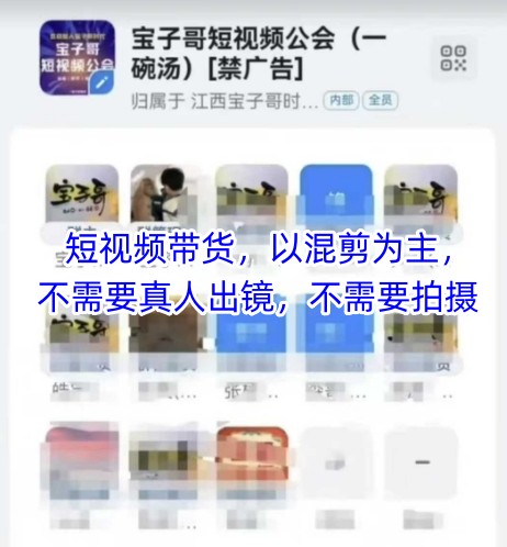 宝子哥头部团队短视频带货，以混剪为主，不需要真人出镜，不需要拍摄【更新6月】-洛柒笔记